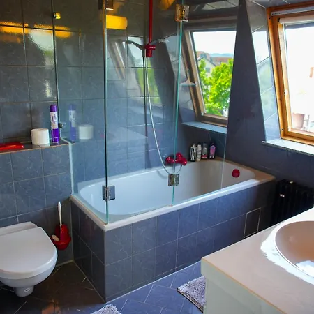 Apartment Schönes In Der Rheinebene, Zentral Gelegen *