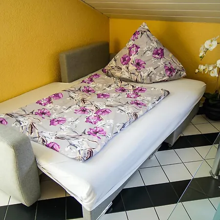 Appartement Schoenes In Der Rheinebene, Zentral Gelegen *